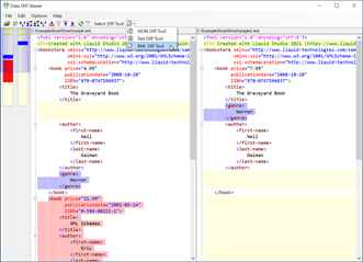 Liquid Data Diff Viewer
